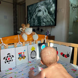 High Contrast Flash Cards