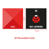 Shapes and Colours Flash Cards